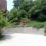 Apartmaji Hribar Pr'ostank Kamnik