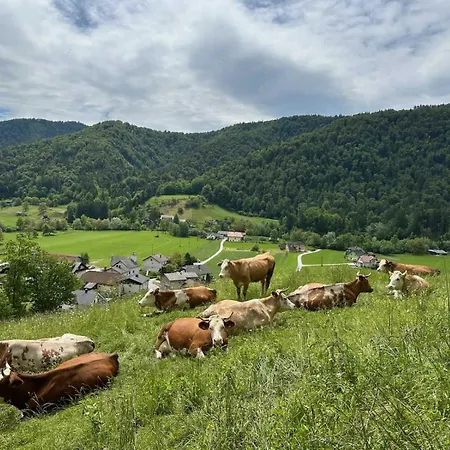 Apartmaji Hribar Pr'ostank *