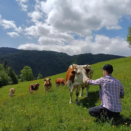 Appartamento Apartmaji Hribar Pr'ostank *