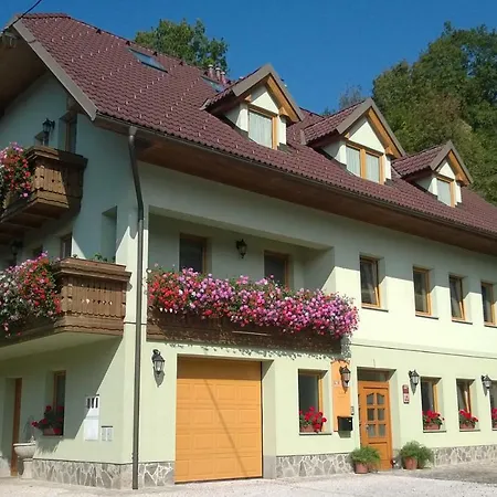 Lägenhet Apartmaji Hribar Pr'ostank Kamnik