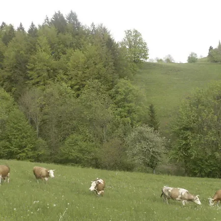 Apartmaji Hribar Pr'ostank Kamnik