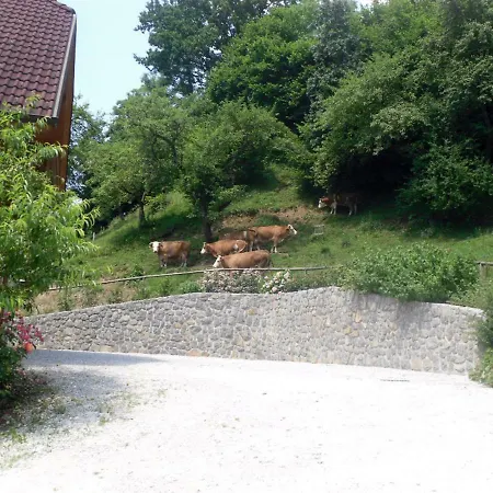 Apartmaji Hribar Pr'ostank Kamnik