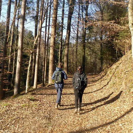 Apartmaji Hribar Pr'ostank Kamnik