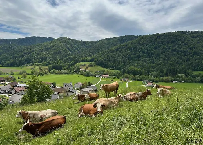 Apartmaji Hribar Pr'ostank *