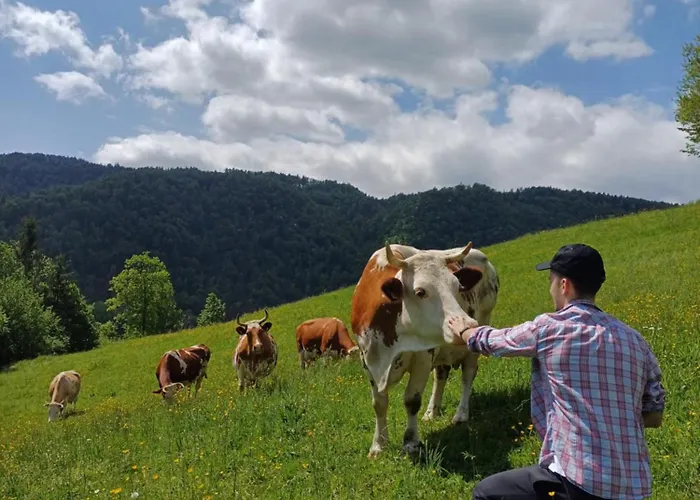 Apartment Apartmaji Hribar Pr'ostank *