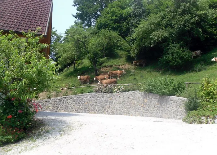 Apartmaji Hribar Pr'ostank Kamnik